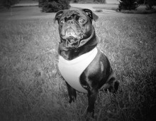 Mighty Old King